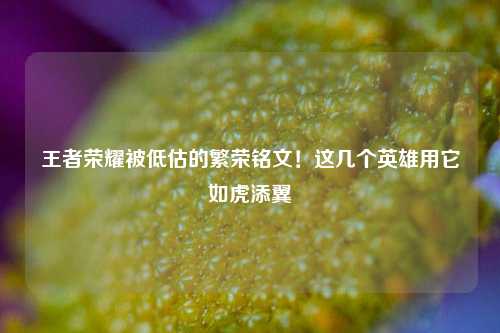 王者荣耀被低估的繁荣铭文！这几个英雄用它如虎添翼