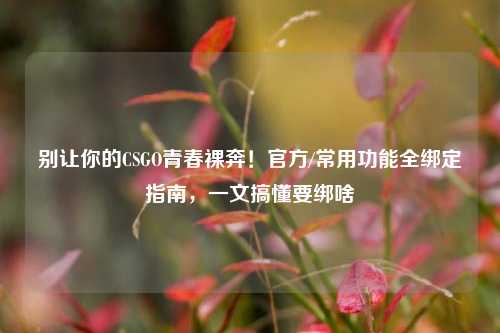 别让你的CSGO青春裸奔！官方/常用功能全绑定指南，一文搞懂要绑啥