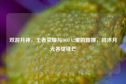 双游月神,王者荣耀与DOTA2里的露娜,同沐月光各绽锋芒