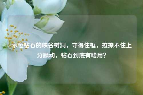 永恒钻石的峡谷树洞,守得住框,按捺不住上分躁动,钻石到底有啥用?