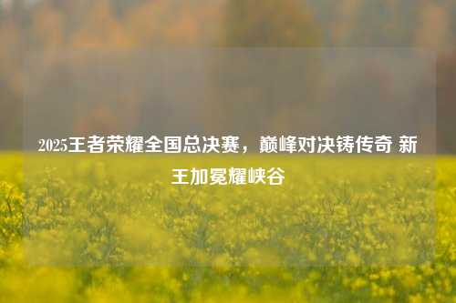 2025王者荣耀全国总决赛，巅峰对决铸传奇 新王加冕耀峡谷