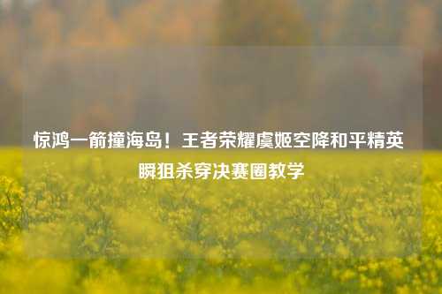 惊鸿一箭撞海岛!王者荣耀虞姬空降和平精英 瞬狙杀穿决赛圈教学
