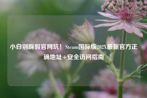 小白别踩假官网坑!Steam国际版202X最新官方正确地址+安全访问指南