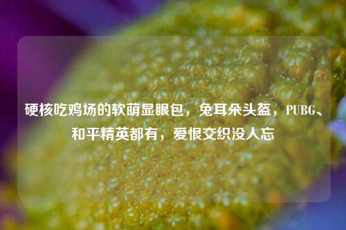 硬核吃鸡场的软萌显眼包,兔耳朵头盔,PUBG、和平精英都有,爱恨交织没人忘