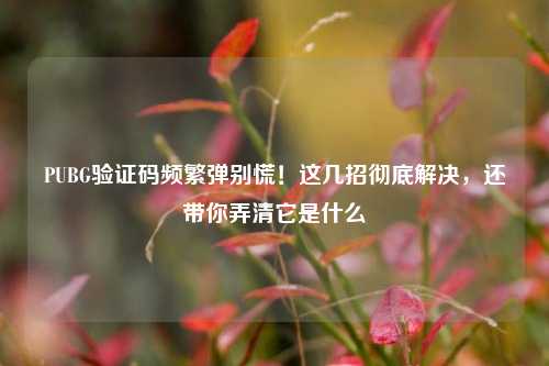 PUBG验证码频繁弹别慌！这几招彻底解决，还带你弄清它是什么