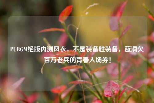 PUBGM绝版内测风衣,不是装备胜装备,蓝洞欠百万老兵的青春入场券!