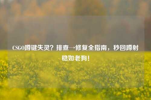 CSGO蹲键失灵？排查→修复全指南，秒回蹲射稳如老狗！