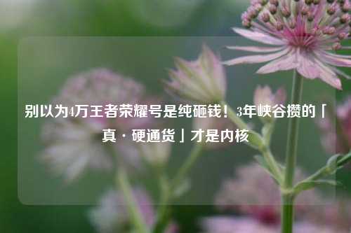 别以为4万王者荣耀号是纯砸钱！3年峡谷攒的「真·硬通货」才是内核