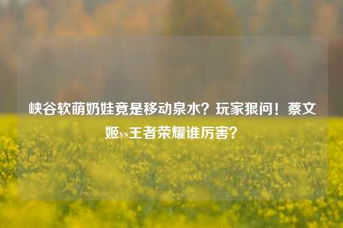 峡谷软萌奶娃竟是移动泉水？玩家狠问！蔡文姬vs王者荣耀谁厉害？