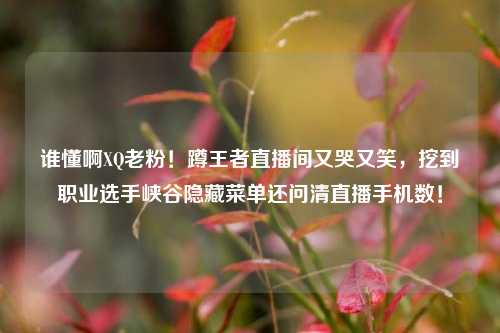 谁懂啊XQ老粉!蹲王者直播间又哭又笑,挖到职业选手峡谷隐藏菜单还问清直播手机数!