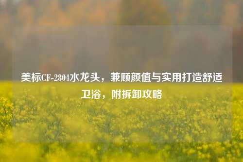 美标CF-2804水龙头,兼顾颜值与实用打造舒适卫浴,附拆卸攻略
