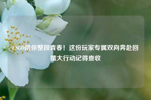 CSGO陪你整段青春！这份玩家专属双向奔赴回馈大行动记得查收