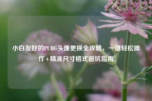 小白友好的PUBG头像更换全攻略,一键轻松操作+精准尺寸格式避坑指南