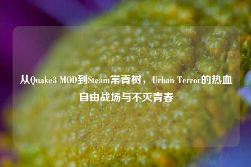 从Quake3 MOD到Steam常青树,Urban Terror的热血自由战场与不灭青春