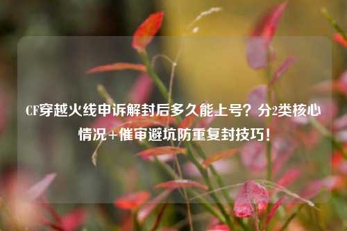 CF穿越火线申诉解封后多久能上号?分2类核心情况+催审避坑防重复封技巧!