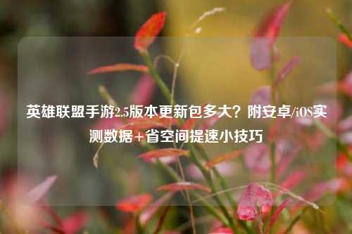 英雄联盟手游2.5版本更新包多大?附安卓/iOS实测数据+省空间提速小技巧
