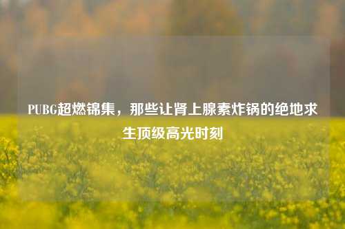 PUBG超燃锦集，那些让肾上腺素炸锅的绝地求生顶级高光时刻