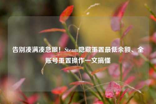 告别凑满凑急眼！Steam隐藏重置最低余额、全账号重置操作一文搞懂