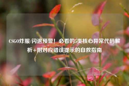 CSGO炸服/闪退预警！必看的5类核心异常代码解析+附对应错误提示的自救指南