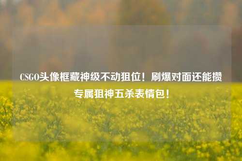 CSGO头像框藏神级不动狙位!刷爆对面还能攒专属狙神五杀表情包!