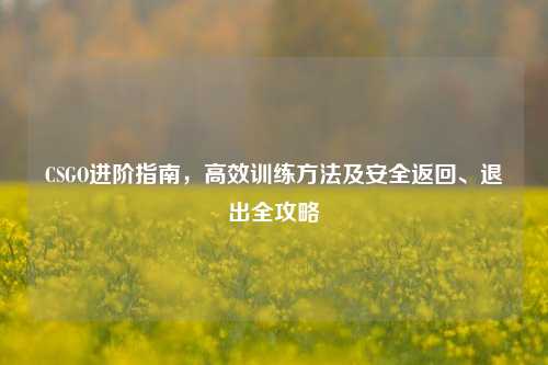 CSGO进阶指南,高效训练方法及安全返回、退出全攻略