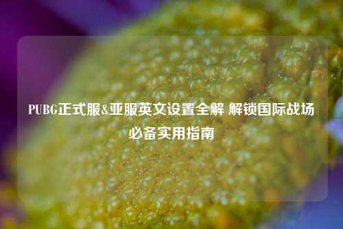 PUBG正式服&亚服英文设置全解 解锁国际战场必备实用指南