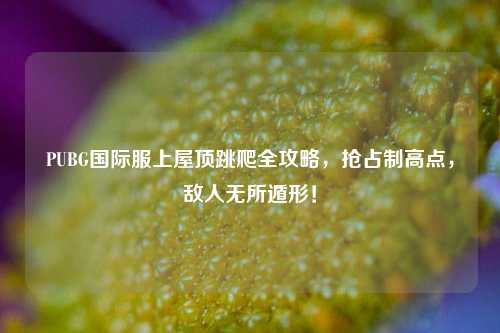 PUBG国际服上屋顶跳爬全攻略，抢占制高点，敌人无所遁形！