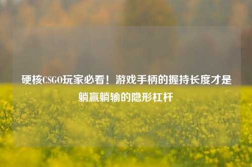 硬核CSGO玩家必看!游戏手柄的握持长度才是躺赢躺输的隐形杠杆