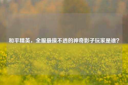 和平精英，全服最摸不透的神奇影子玩家是谁？