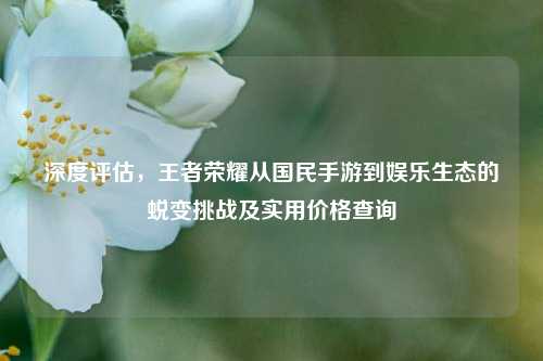 深度评估，王者荣耀从国民手游到娱乐生态的蜕变挑战及实用价格查询