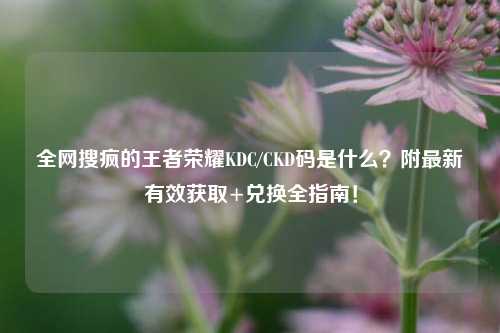 全网搜疯的王者荣耀KDC/CKD码是什么？附最新有效获取+兑换全指南！