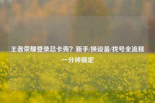 王者荣耀登录总卡壳？新手/换设备/找号全流程一分钟搞定