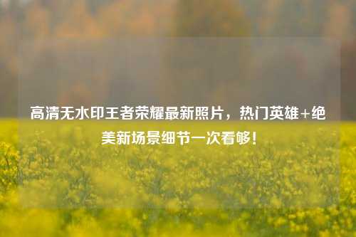 高清无水印王者荣耀最新照片，热门英雄+绝美新场景细节一次看够！