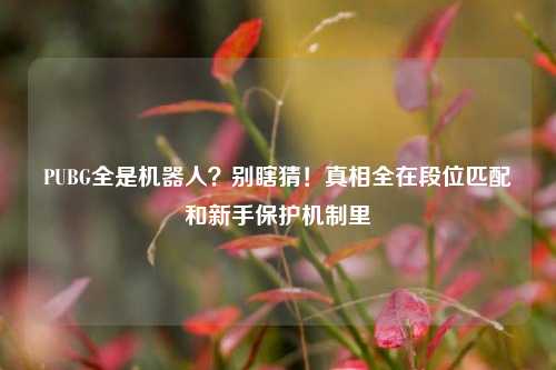 PUBG全是机器人？别瞎猜！真相全在段位匹配和新手保护机制里