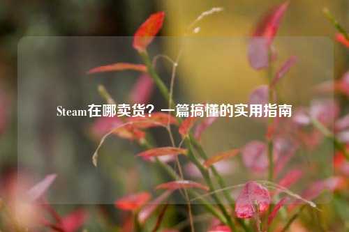 Steam在哪卖货？一篇搞懂的实用指南