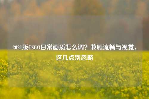 2021版CSGO日常画质怎么调?兼顾流畅与视觉,这几点别忽略