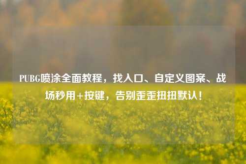 PUBG喷涂全面教程,找入口、自定义图案、战场秒用+按键,告别歪歪扭扭默认!