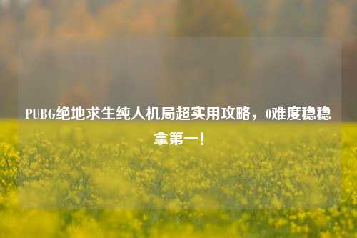 PUBG绝地求生纯人机局超实用攻略,0难度稳稳拿第一!