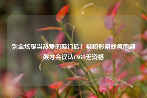 别拿炫耀当热爱的敲门砖！被畸形游戏氛围绑架才会误认CSGO无资格