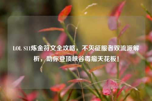LOL S11炼金符文全攻略,不灭征服者双流派解析,助你登顶峡谷毒瘤天花板!