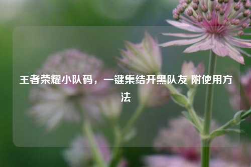 王者荣耀小队码,一键集结开黑队友 附使用方法
