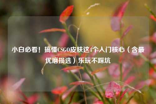 小白必看!搞懂CSGO皮肤这4个入门核心(含最优磨损选)乐玩不踩坑