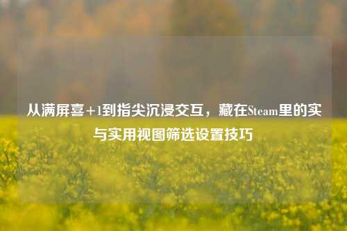 从满屏喜+1到指尖沉浸交互，藏在Steam里的实与实用视图筛选设置技巧