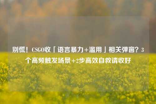 别慌！CSGO收「语言暴力+滥用」相关弹窗？3个高频触发场景+2步高效自救请收好
