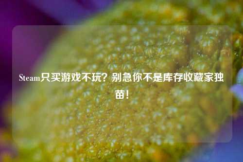 Steam只买游戏不玩？别急你不是库存收藏家独苗！