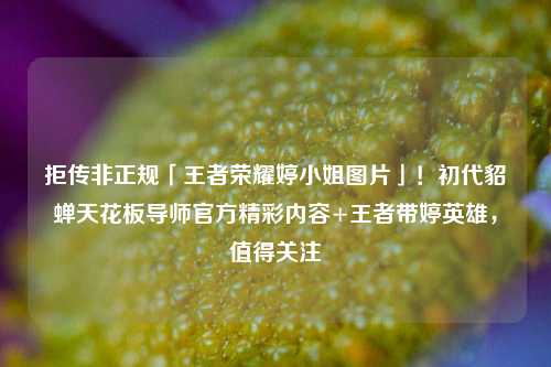 拒传非正规「王者荣耀婷小姐图片」!初代貂蝉天花板导师官方精彩内容+王者带婷英雄,值得关注