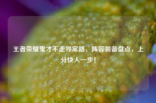 王者荣耀鬼才不走寻常路，阵容装备盘点，上分快人一步！