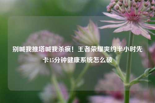 别喊我推塔喊我杀疯！王者荣耀爽约半小时先卡15分钟健康系统怎么破