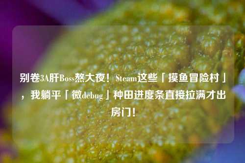 别卷3A肝Boss熬大夜!Steam这些「摸鱼冒险村」,我躺平「微debug」种田进度条直接拉满才出房门!