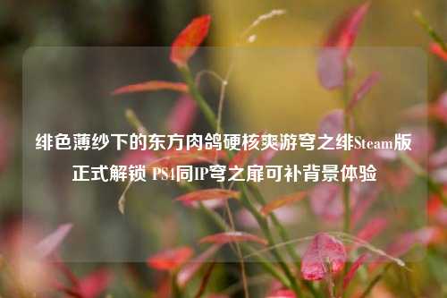 绯色薄纱下的东方肉鸽硬核爽游穹之绯Steam版正式解锁 PS4同IP穹之扉可补背景体验